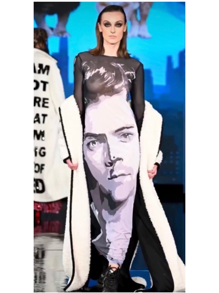 House Of Muamua Harry Styles Allover Sublimation Printed Mesh Maxi Dress Rare